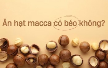 Hạt (quả) macca (mắc ca) có béo không?