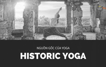 Yoga có nguồn gốc từ quốc gia nào?