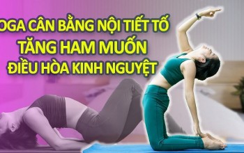 Yoga Cân Bằng Nội Tiết Tố - Hành Trình Đến Với Sức Khỏe và Hạnh Phúc