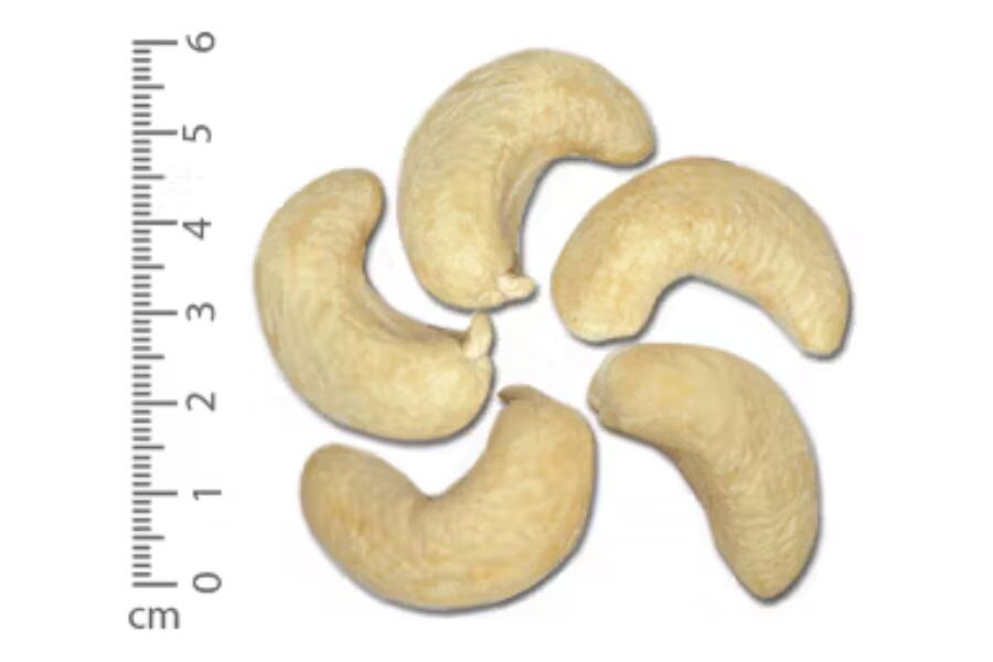 What Is Cashew Nut W160? Comparison with Other Cashew Nuts