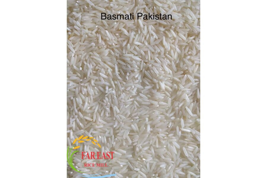 What Is Pakistan Rice? Comparison with Other Types of Rice