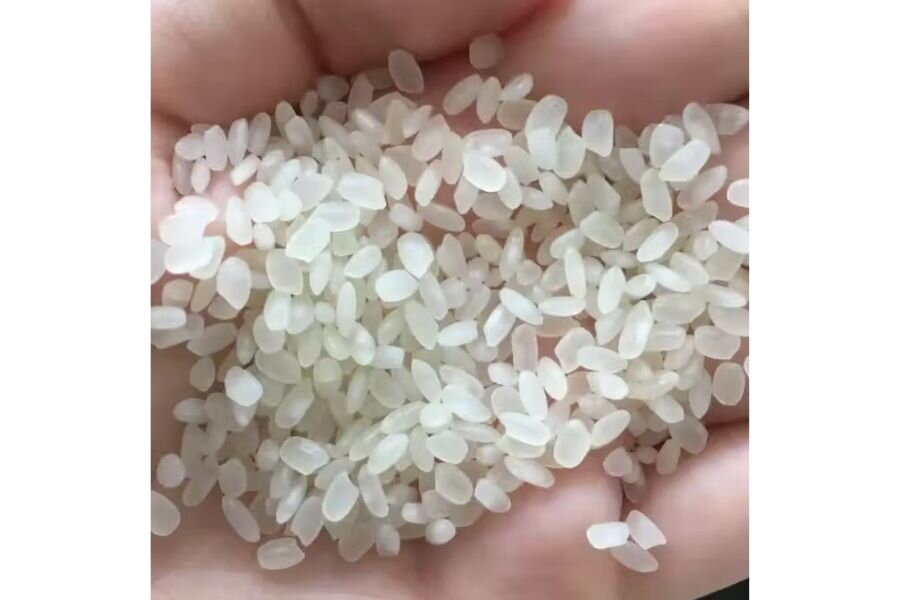 What Is Vietnamese Swarna Rice? Comparison with Other Rice?