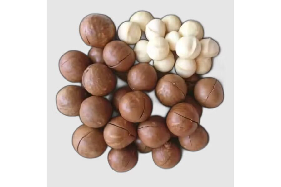 What Are the Prices of Vietnamese Macadamia Nuts That Are Popular in the World?