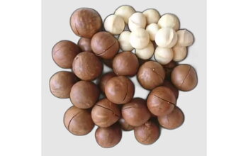 What Are the Prices of Vietnamese Macadamia Nuts That Are Popular in the World?