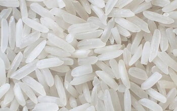 Gạo hạt dài là gì? So sánh với các loại gạo khác