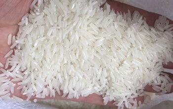 Gạo Thơm ST24 là gì? Giá trị dinh dưỡng của loại gạo này